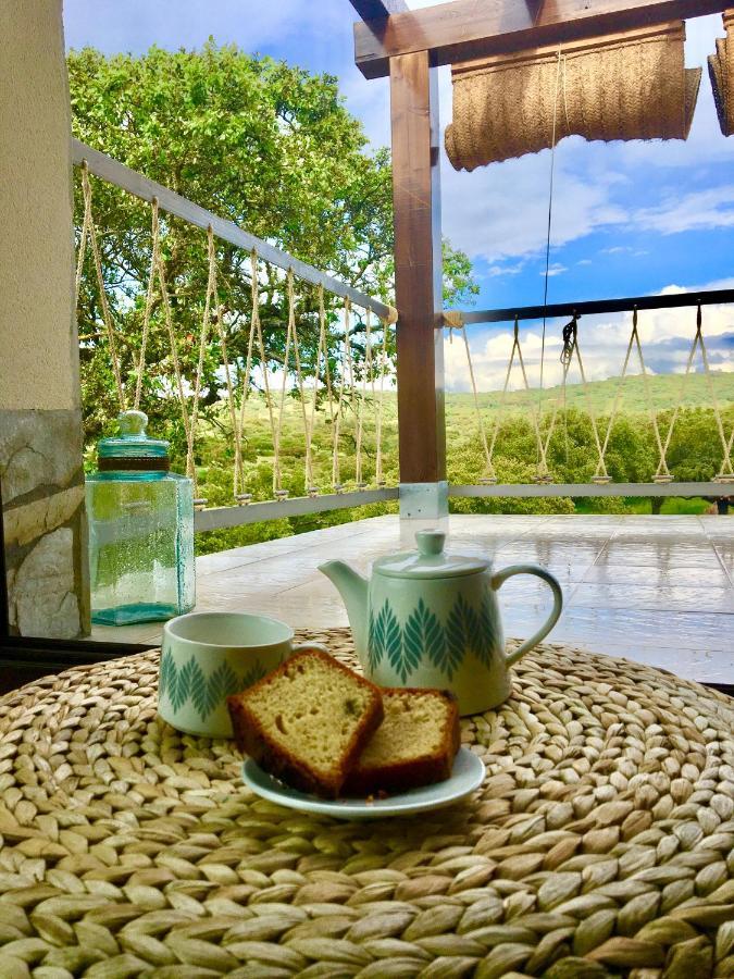 La Siesta Del Naranjo Villa Monesterio Buitenkant foto